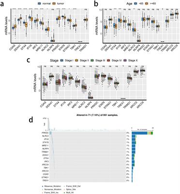 Investigating the impact of STING pathway activation on breast cancer treatment outcomes: development and validation of a prognostic model